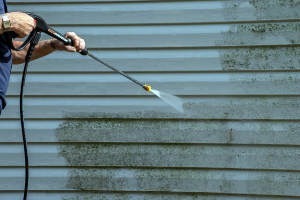 Best Deck Cleaning Services  in Hanna City, IL